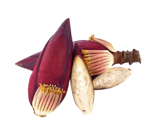 Banana Flowers